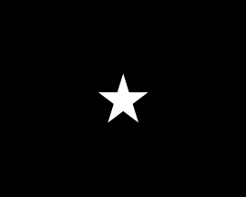 [U.S. Space Force Brigadier General flag]